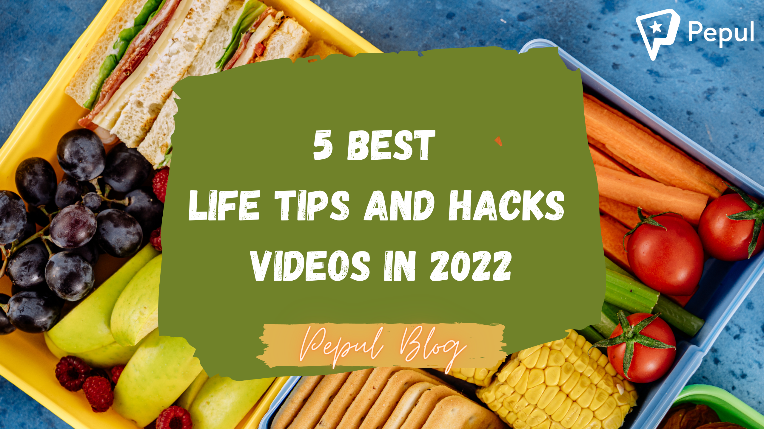 Top 5 Best Life Tips and Hacks Short Videos in 2022
